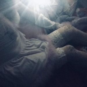 两个裸军人脱了内裤摸J
